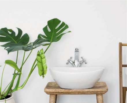 Zdj. 3. Możliwa jest również uprawa kwiatów doniczkowych w łazienkach pozbawionych dopływu światła naturalnego. 